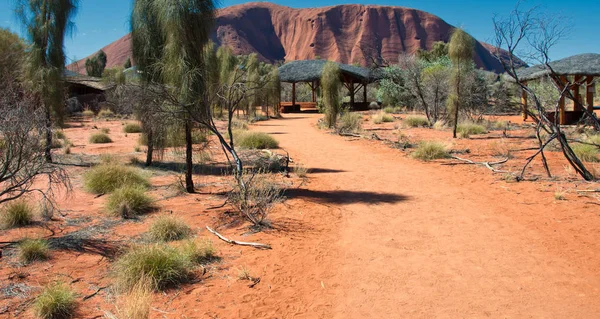 Ljus Och Solig Dag Den Australiska Vildmarken — Stockfoto