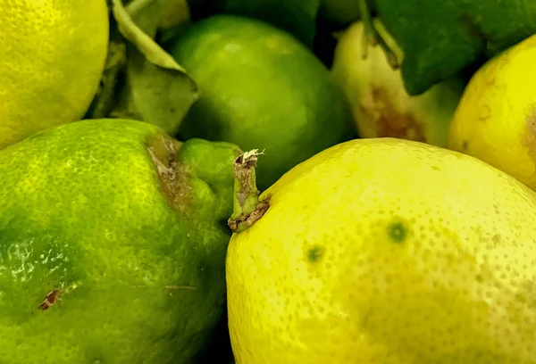 Close Fresh Lemons — Stock Photo, Image