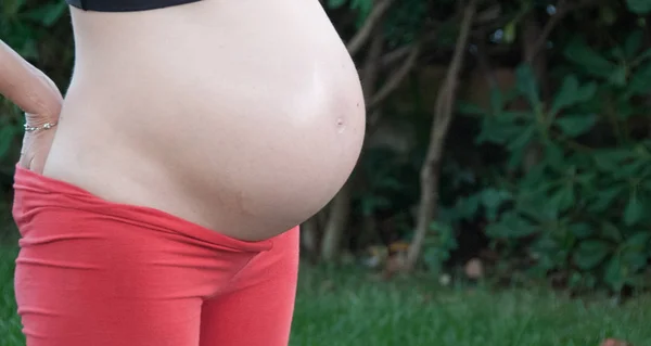 Belly Gravid Kvinna Veckor — Stockfoto