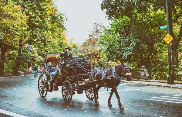 New York City Oktober 2015 Einem Herbsttag Führt Eine Pferdekutsche — Stockfoto