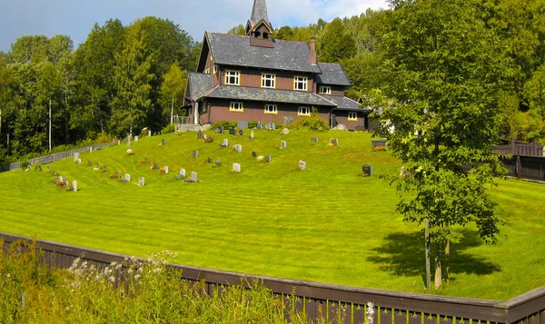 Detail Der Norwegischen Landschaft August 2006 — Stockfoto