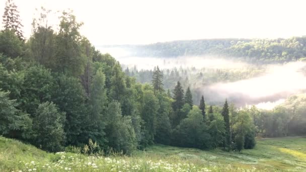 Amazing Aerial View Gauja National Park Vidzeme Largest National Park — Stock Video