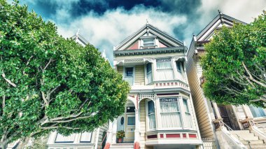 San Francisco ağaçlarıyla çevrili boyalı bayanlar.