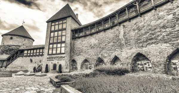 Tallinn Észtország 2017 Július Neitsitorn Museum Külső Nézet Vonzerő Tallinnban — Stock Fotó