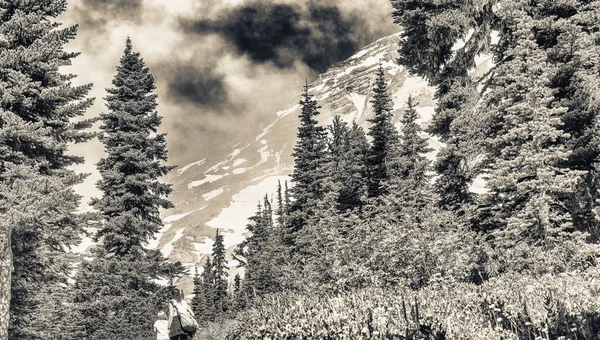 Mère Fille Marchent Sur Beau Sentier Montagne Saison Estivale Concept — Photo