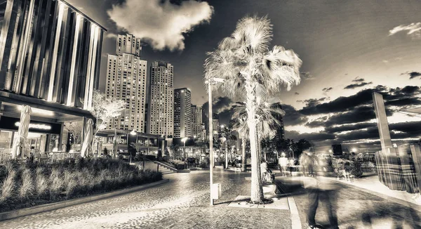 Dubaj Spojené Arabské Emiráty Prosince 2016 Dubai Marina Panorama Noci — Stock fotografie