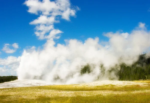 Den Berömda Gamla Trogen Geyser Yellowstone National Park — Stockfoto