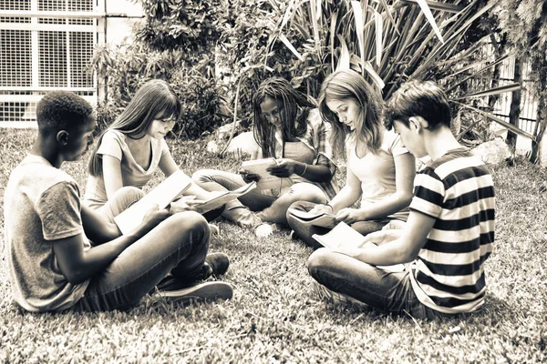 Freunde Multiethnischer Teenager Machen Schultests Freien Auf Einem Park Sitzend — Stockfoto