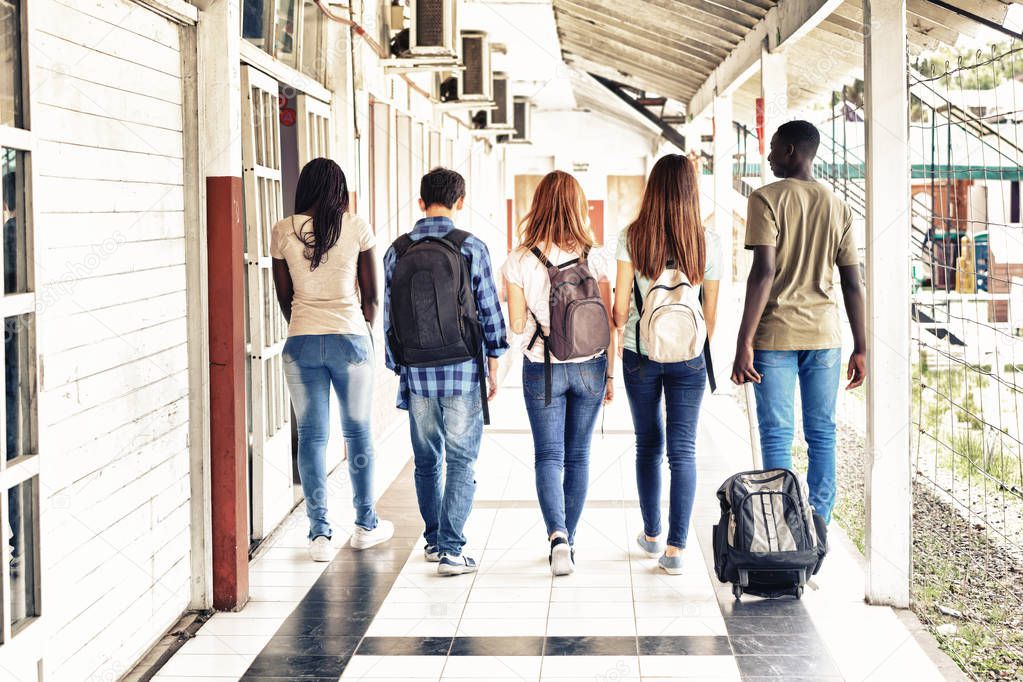 Multi ethnic teenagers friends walking in the school hallway, back view.
