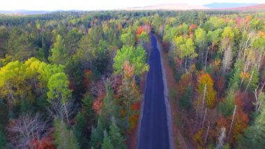 sonbaharda renkli ormanın panoramik havadan görünümü