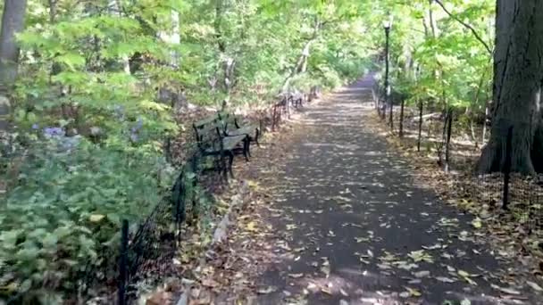 城市公园秋季全景 — 图库视频影像