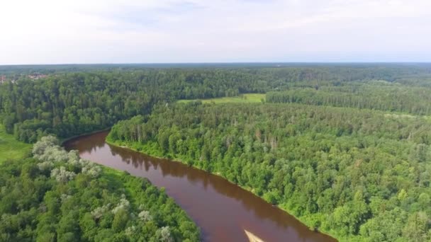 Amazing Aerial View Gauja National Park Vidzeme Largest National Park — Stock Video