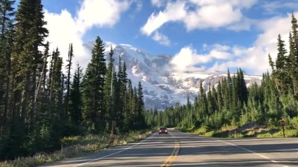 Vägen Längs Barrskog Mount Rainier National Park Usa — Stockvideo