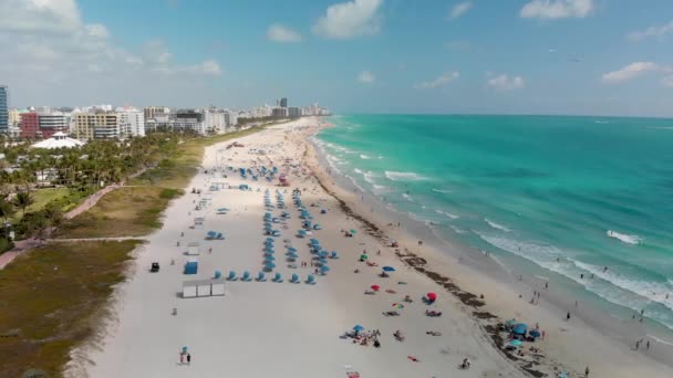 South Pointe Park Miami Beach Budynków Wzdłuż Plaży Widok Lotu — Wideo stockowe