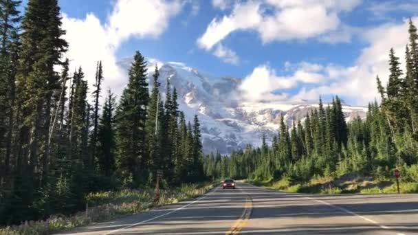 Cesta Podél Jehličnatých Lesů Mount Rainier National Park Usa — Stock video