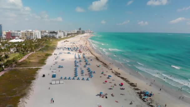 South Pointe Park Miami Beach Buildings Beach Aerial View — Stock Video