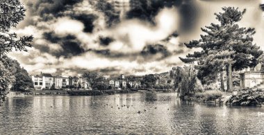 Panoramik manzaraya Palace, güzel sanatlar San Francisco günbatımı - California.