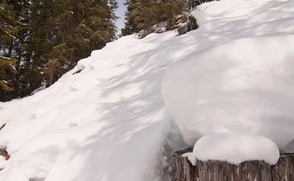 Hiver Froid Cœur Des Dolomites Vénétie Italie Nord — Photo