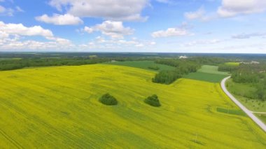 Ek yükü hava panoramik çayır yaz sezonu. Video 