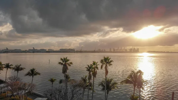 Brickell 보기에 마이애미의 손바닥 — 스톡 사진