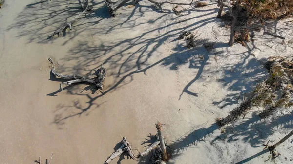 Vue Aérienne Driftwood Beach Jekyll Island Géorgie — Photo