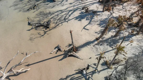 Aerial View Driftwood Beach Jekyll Island Georgia — Stock Photo, Image