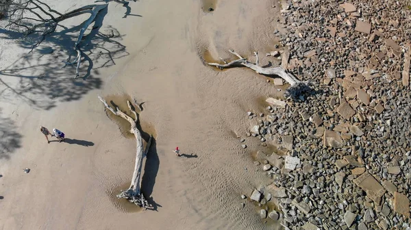 美しいビーチで木の幹を空撮 — ストック写真