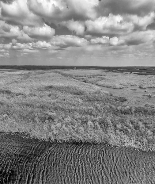 Vue Aérienne Panoramique Des Marais Des Everglades — Photo