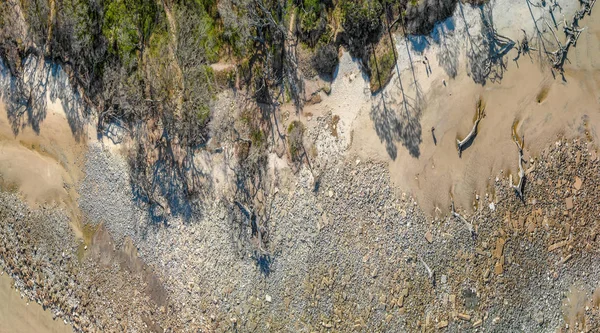 Baumstämme Einem Schönen Strand Panorama Luftaufnahme — Stockfoto