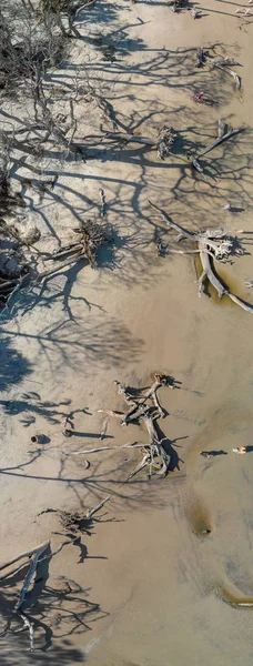 Panoramic Aerial View Jekyll Island Driftwood Beach Georgia — Stock Photo, Image