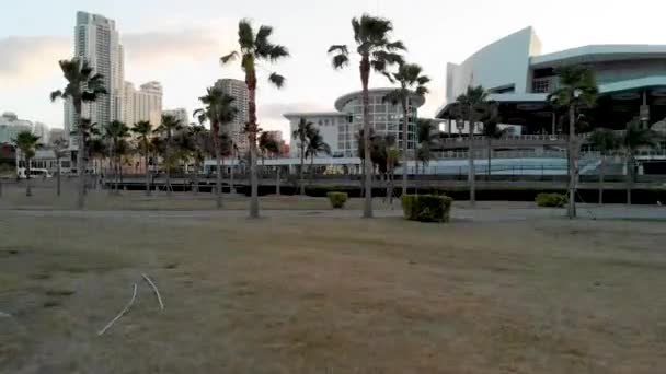 Miami Downtown Sunset Florida Usa Video — Stockvideo