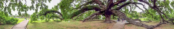 Traktat Oak Park Panoramiczny Widok Jacksonville Floryda — Zdjęcie stockowe