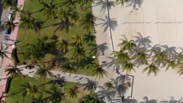 Miami Beach Ocean Drive Сша Вид Воздуха — стоковое видео