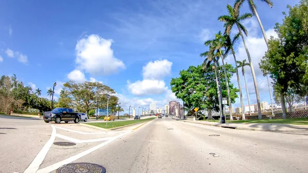 Palmenstrandstraßen Einem Schönen Sonnigen Tag Florida — Stockfoto