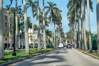 Royal Palm yolu Bulvarı avuç Palm Beach.
