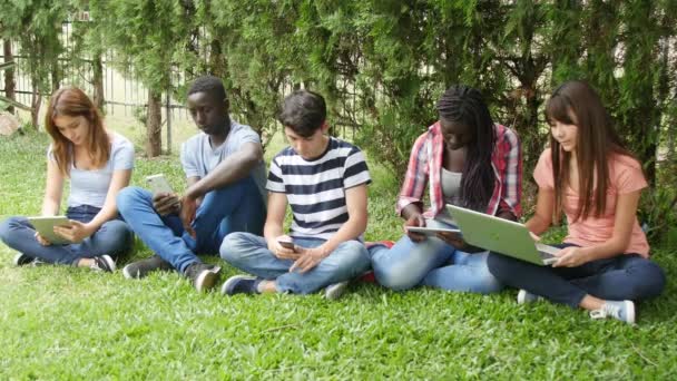 ノート パソコンと屋外の芝生の上に座ってのガジェットを使用して 代の若者 — ストック動画