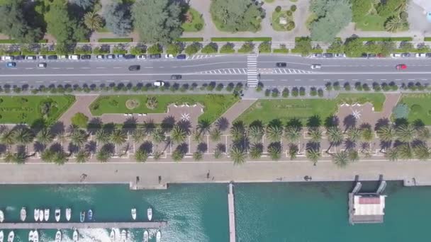 Vista Aérea Del Paseo Marítimo Ciudad Con Palmeras Verdes Video — Vídeo de stock