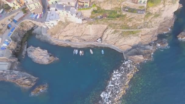 Manarola Csodálatos Panorámás Légi Föld Olaszország Videoban — Stock videók