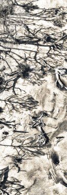 Jekyll Island ve dalgaların karaya attığı odun Beach, Gürcistan hava manzarayı.