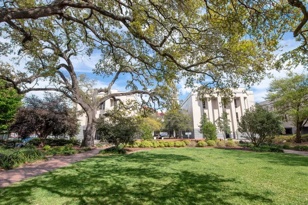 Hermoso Parque Ciudad Primavera — Foto de Stock