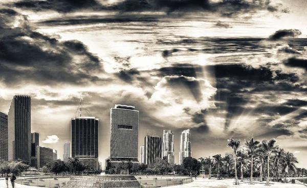 Gün Batımında Florida Şehir Miami — Stok fotoğraf