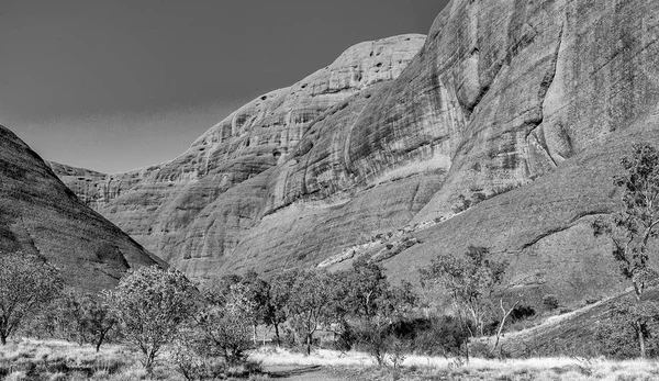 Black White View Northern Territory Outback Park Australia — Stock Photo, Image