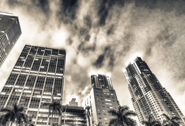 Hoge Wolkenkrabbers Van Downtown Miami Florida Verenigde Staten — Stockfoto