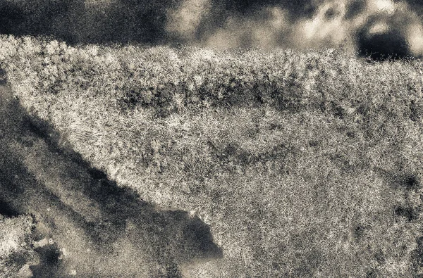 Visão Aérea Flórida Everglades — Fotografia de Stock