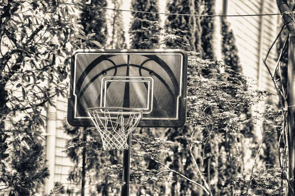 Basketball Hoop City Park — Stock Photo, Image
