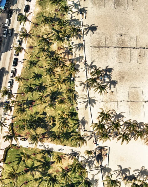 Vista Panoramica Sul Miami Beach Lummus Park Ocean Drive Vista — Foto Stock