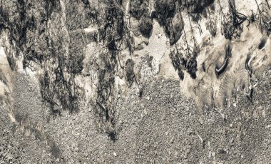 Ağaç gövdeleri üzerinde güzel bir kumsal, panoramik havadan görünümü