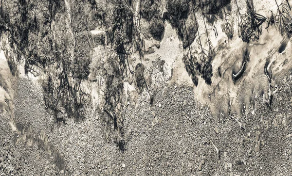 Ağaç gövdeleri üzerinde güzel bir kumsal, panoramik havadan görünümü