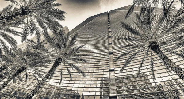 棕榈树环抱的现代建筑 — 图库照片