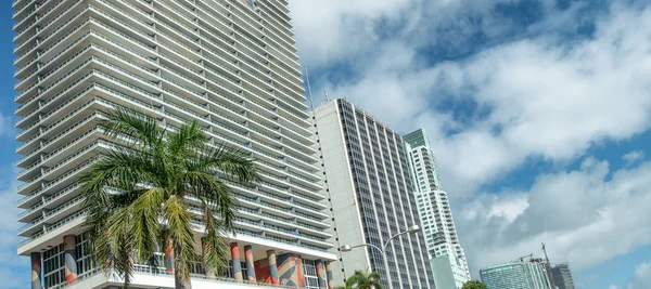 Güneşli Bir Günde Florida Miami Downtown Binalar — Stok fotoğraf